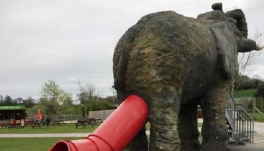 When the designer is drunk, but does not want to go home and continues to work When the designer is drunk, but does not want to go home and continues to work