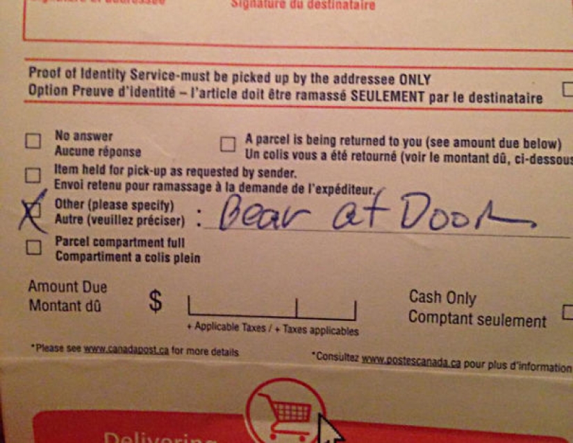 When the postman is not Pechkin: Epic Delivery service Blunders