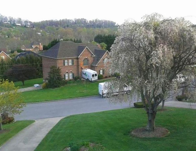 When the postman is not Pechkin: Epic Delivery service Blunders