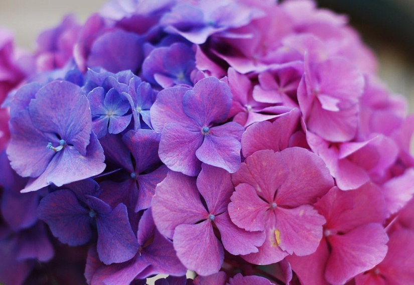 Where the Fairy tale lives: charming little towns in Italy