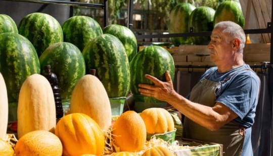 Which is healthier - watermelon or melon