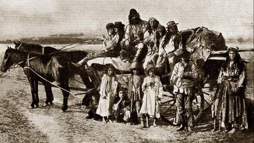 Who are farriers and why did their profession disappear? Who are farriers and why did their profession disappear?