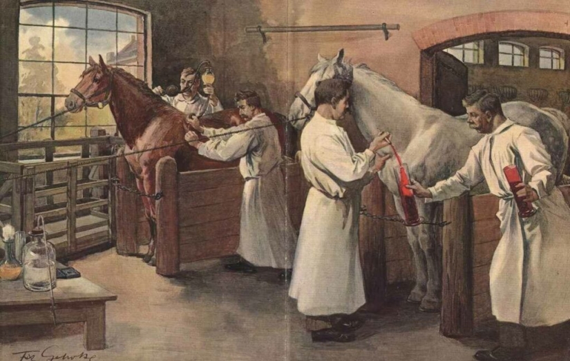 Who are farriers and why did their profession disappear? Who are farriers and why did their profession disappear?