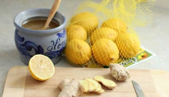 Who can't eat lemon, ginger, onion and garlic, and why Who can't eat lemon, ginger, onion and garlic, and why