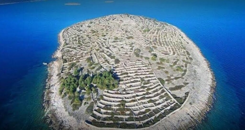 Who made the Croatian island of Baljenac look like a fingerprint Who made the Croatian island of Baljenac look like a fingerprint