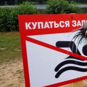 Why are cercariae dangerous - parasites from river water that penetrate the skin?