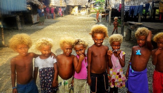 Why are dark-skinned blondes born in the Solomon Islands