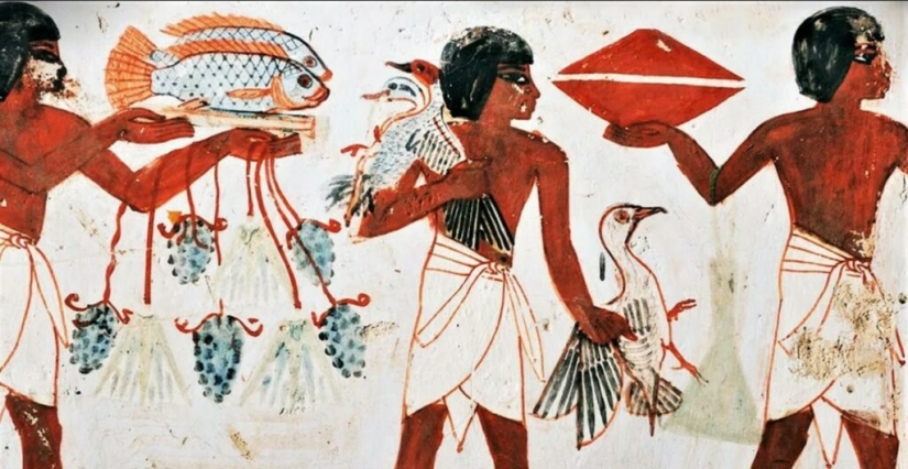 Why chicken broth is called "Jewish penicillin" Why chicken broth is called "Jewish penicillin"