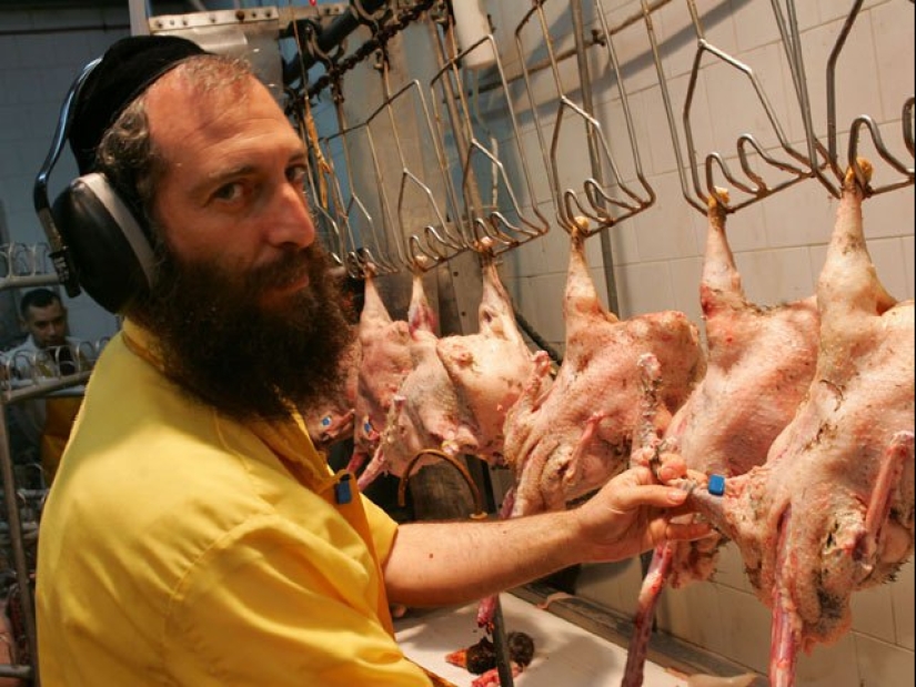 Why chicken broth is called "Jewish penicillin" Why chicken broth is called "Jewish penicillin"