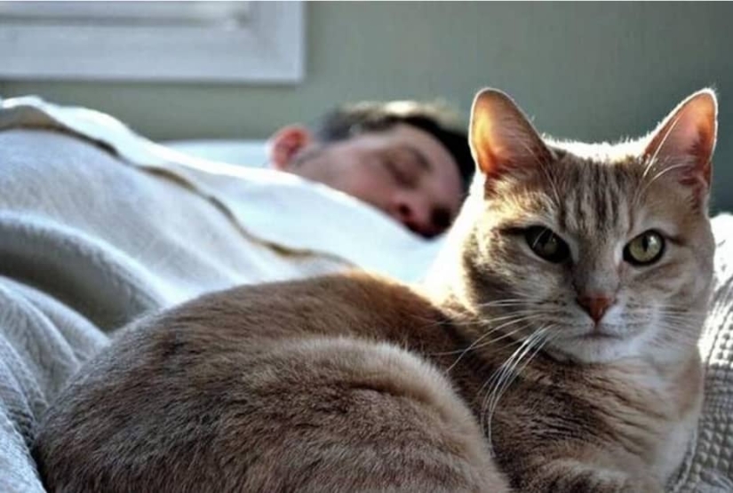 Why do cats like to sleep with women and not with men