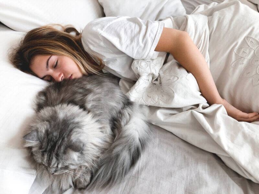 Why do cats like to sleep with women and not with men