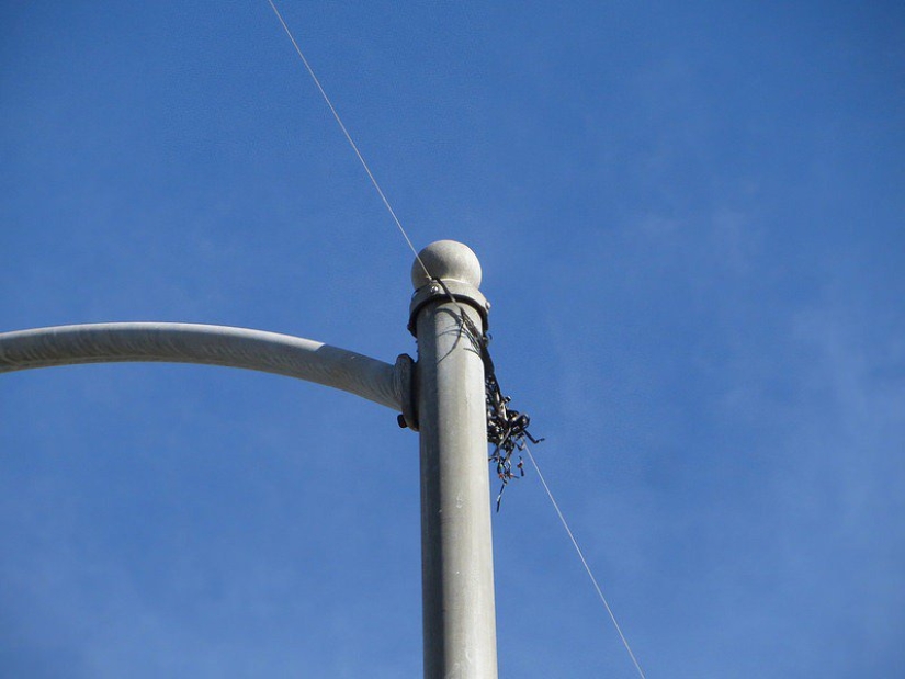 Why do Jews stretch kilometers of fishing line over cities around the world? Why do Jews stretch kilometers of fishing line over cities around the world?