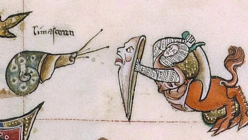 Why do medieval drawings show snails fighting knights? Why do medieval drawings show snails fighting knights?