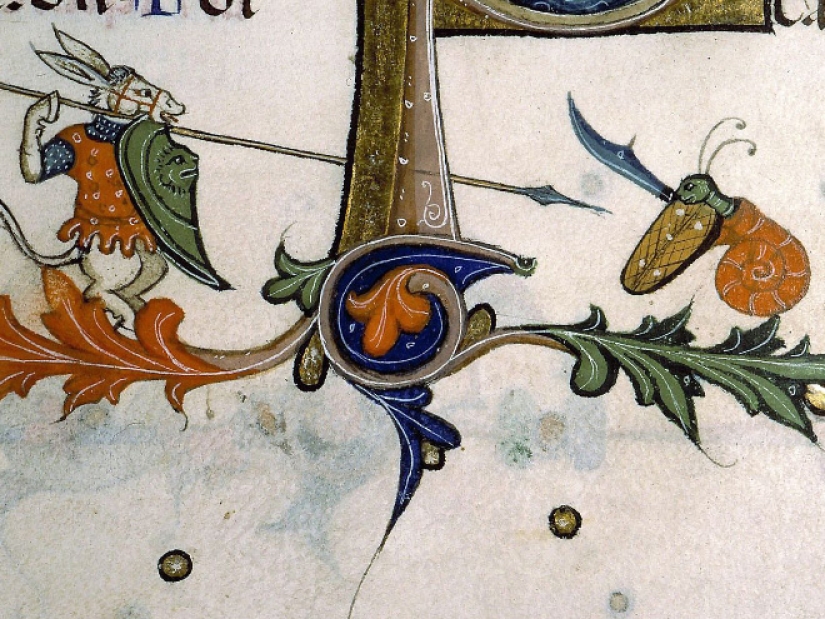 Why do medieval drawings show snails fighting knights? Why do medieval drawings show snails fighting knights?
