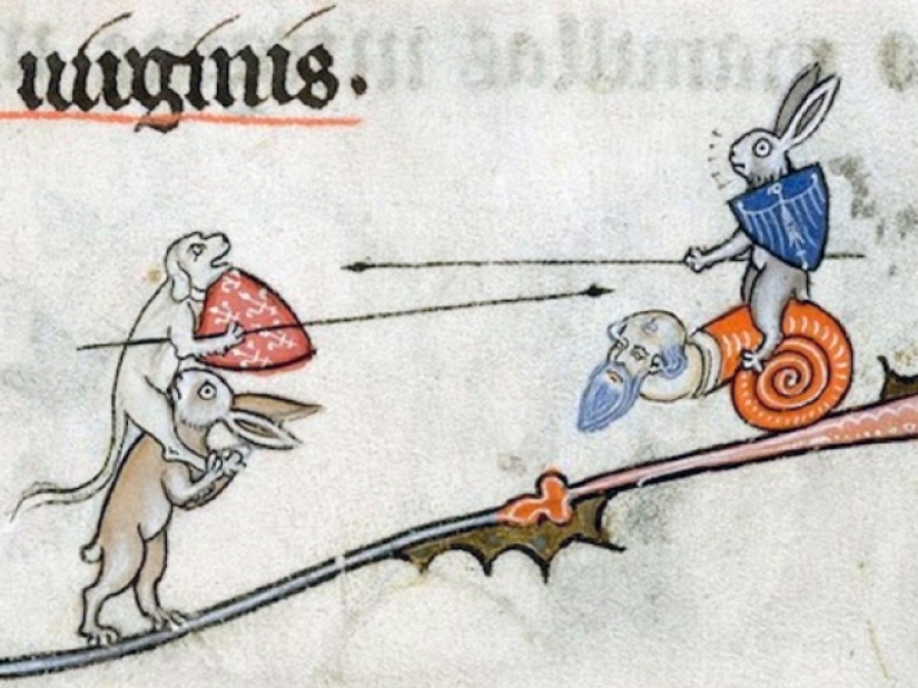 Why do medieval drawings show snails fighting knights? Why do medieval drawings show snails fighting knights?