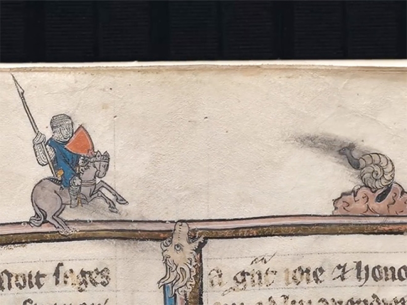 Why do medieval drawings show snails fighting knights? Why do medieval drawings show snails fighting knights?