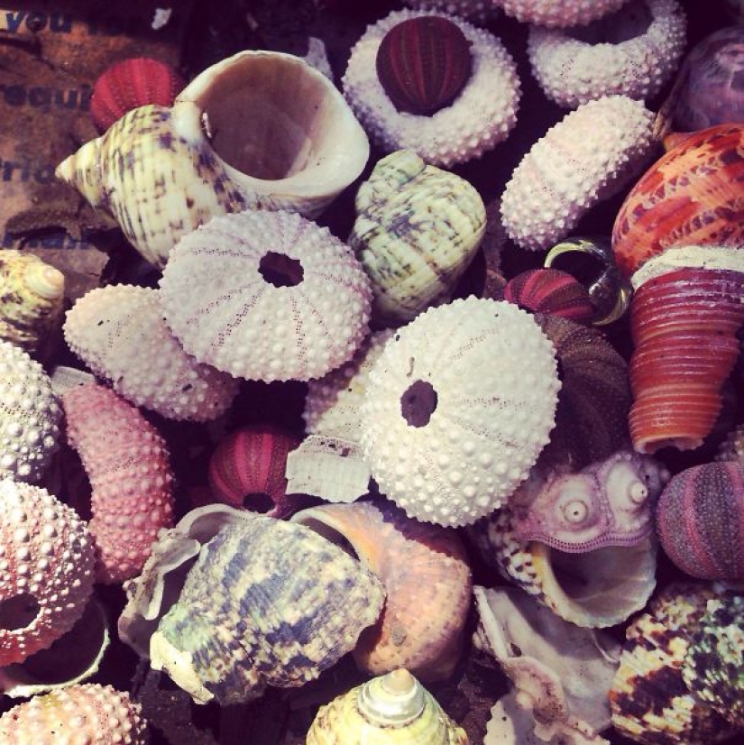 Why do we see faces everywhere