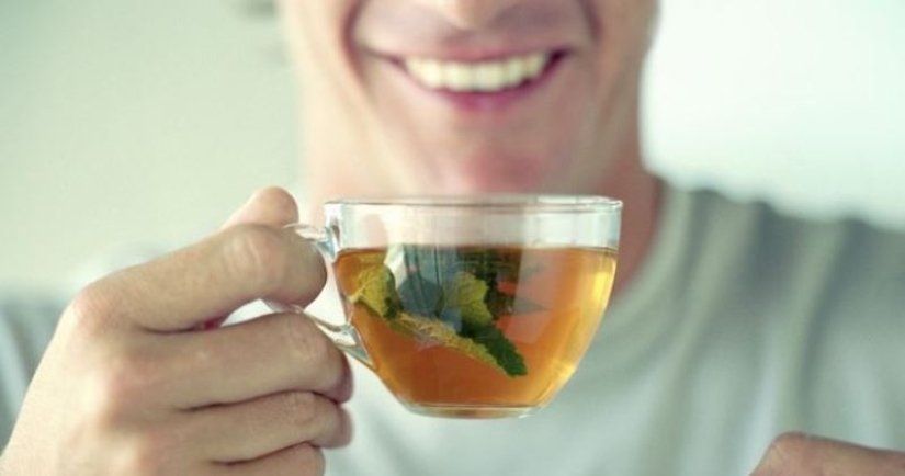 Why is mint called a female plant and why is it dangerous for men