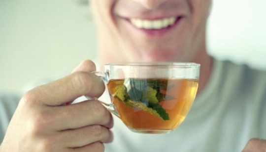 Why is mint called a female plant and why is it dangerous for men