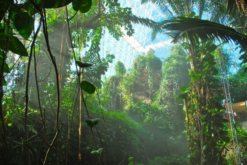 Why the American experiment "Biosphere-2" failed, which could change the world