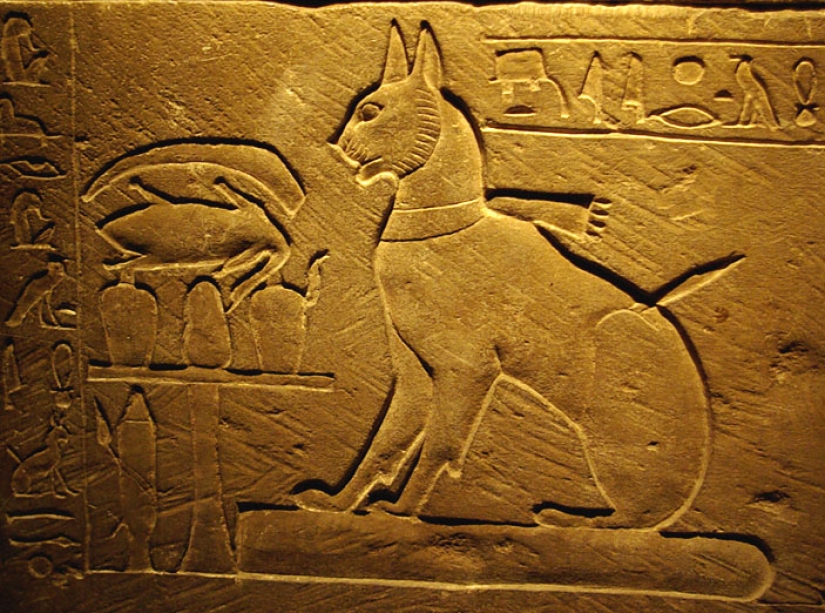Why were cats so loved and revered in ancient Egypt? Why were cats so loved and revered in ancient Egypt?