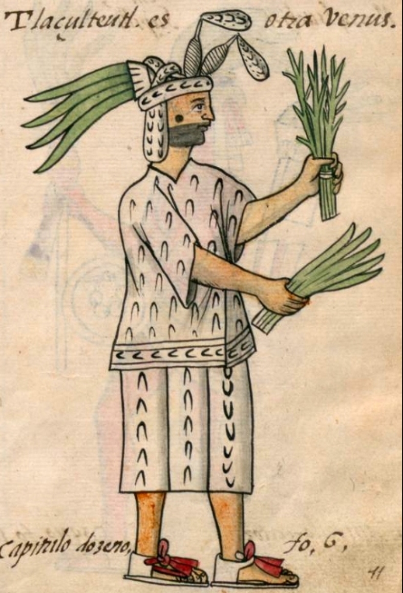 Why were witches depicted riding a broom? Why were witches depicted riding a broom?