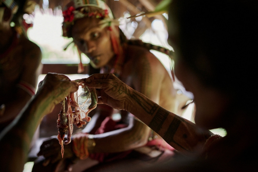 Will disappear in the next 100 years: a photographer showed the tribes on the verge of extinction Will disappear in the next 100 years: a photographer showed the tribes on the verge of extinction