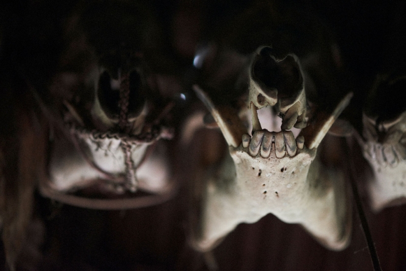 Will disappear in the next 100 years: a photographer showed the tribes on the verge of extinction Will disappear in the next 100 years: a photographer showed the tribes on the verge of extinction