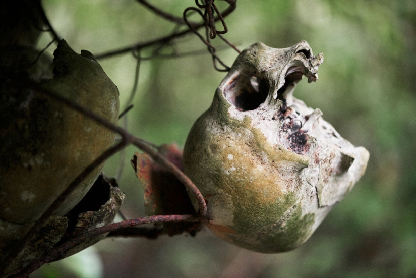 Will disappear in the next 100 years: a photographer showed the tribes on the verge of extinction Will disappear in the next 100 years: a photographer showed the tribes on the verge of extinction