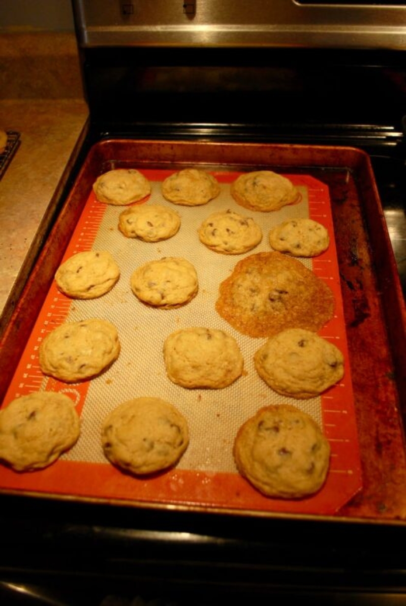 Y así lo hará! 22 fotos de lo que sucede cuando la cabeza no es amiga de las manos Y así lo hará! 22 fotos de lo que sucede cuando la cabeza no es amiga de las manos