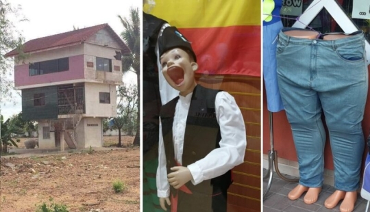 Y así lo hará! 22 fotos de lo que sucede cuando la cabeza no es amiga de las manos