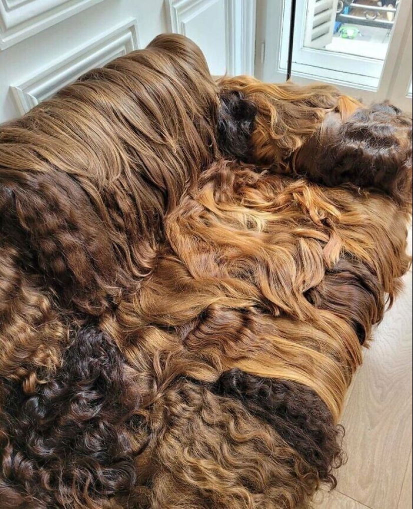 ¿Y cómo limpiarlo en absoluto? 30 ejemplos de diseño poco práctico de cosas-colectores de polvo ¿Y cómo limpiarlo en absoluto? 30 ejemplos de diseño poco práctico de cosas-colectores de polvo