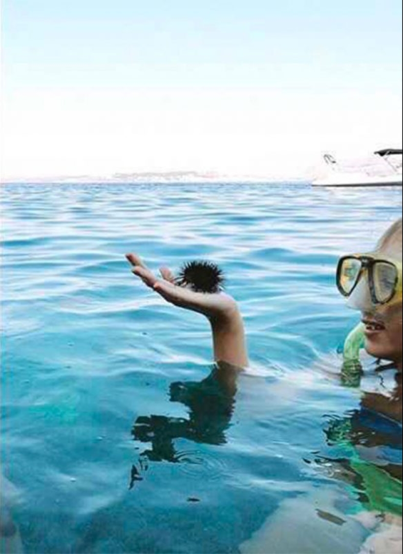 Y una vez más, parecía! 30 fotos que harán volar tu mente Y una vez más, parecía! 30 fotos que harán volar tu mente