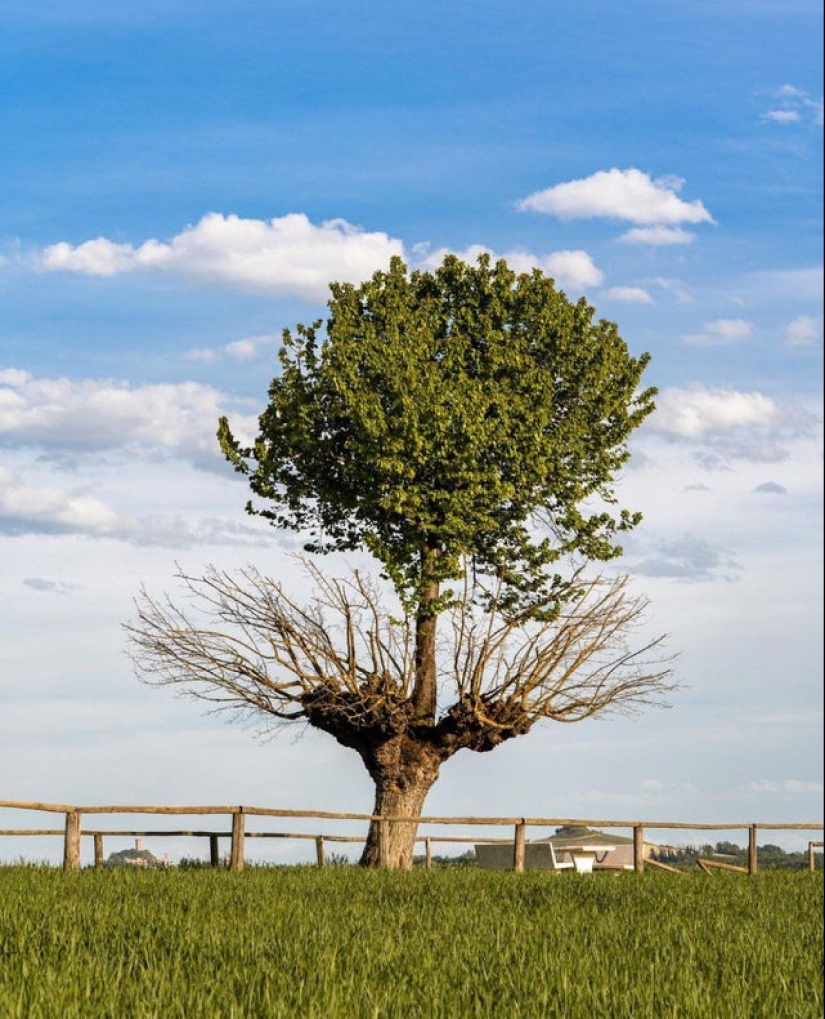 Yes, IT really exists! 22 photos of amazing phenomena and things Yes, IT really exists! 22 photos of amazing phenomena and things