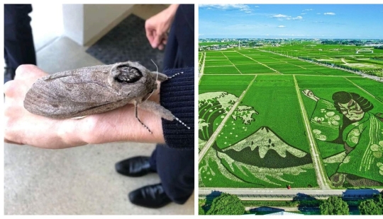 Yes, IT really exists! 22 photos of amazing phenomena and things