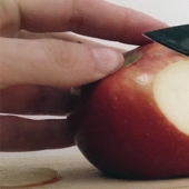 You can watch forever: 15 gifs is now repetitive and boring, which just cut things