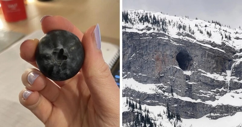 You definitely haven't seen this: 30 surprises from Mother Nature You definitely haven't seen this: 30 surprises from Mother Nature