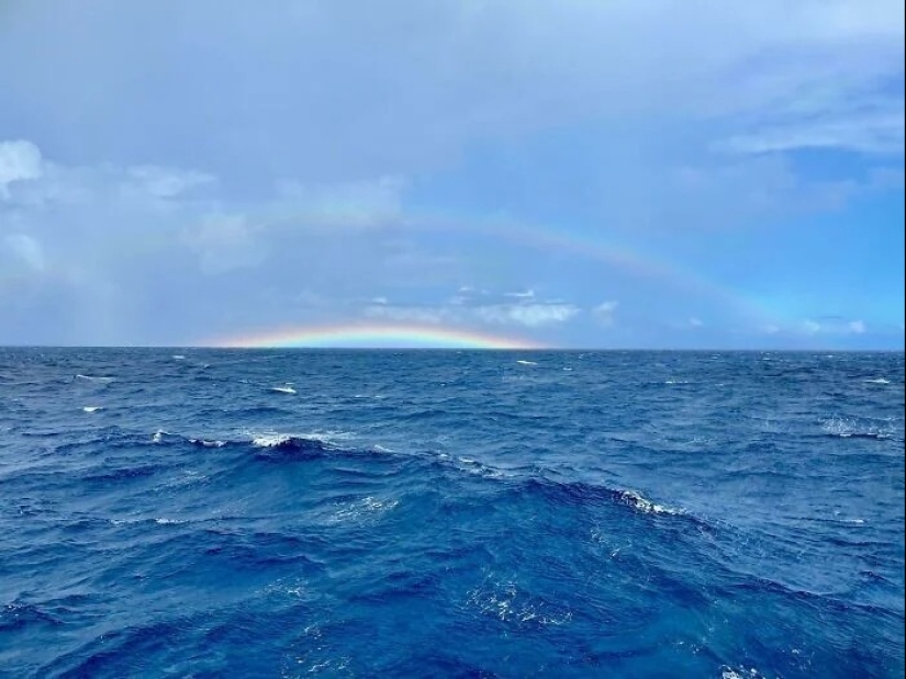 You definitely haven't seen this: 30 surprises from Mother Nature You definitely haven't seen this: 30 surprises from Mother Nature