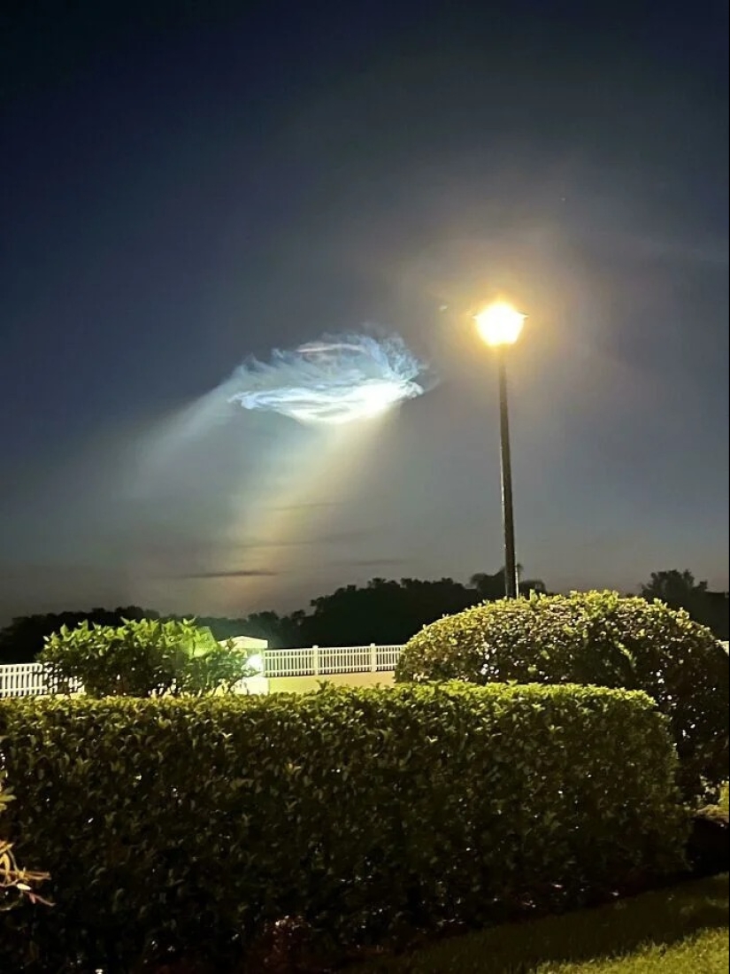 You definitely haven't seen this: 30 surprises from Mother Nature You definitely haven't seen this: 30 surprises from Mother Nature