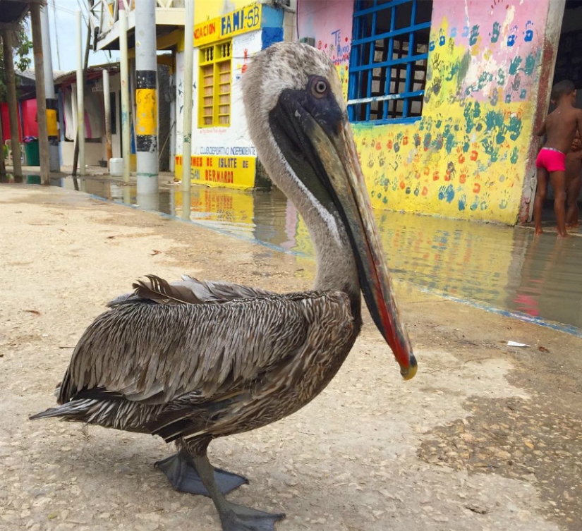 You give me a hairstyle, and I'll give you fish for lunch: how a thousand people get along on an island the size of a football field