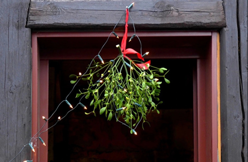 Yule: How the Ancient Vikings Celebrated the New Year and What Traditions We Stole from Them