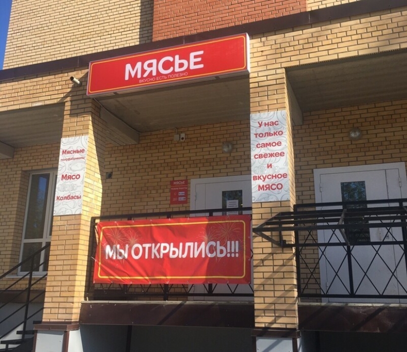 "Yulka's buns" : 22 ejemplos de nombres divertidos y extraños de instituciones