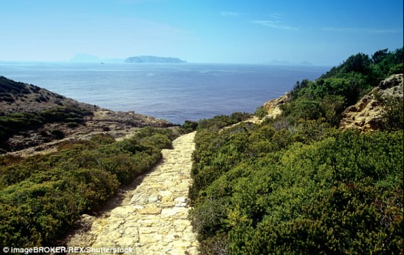 Zannon is a forgotten island of orgies with a dark past