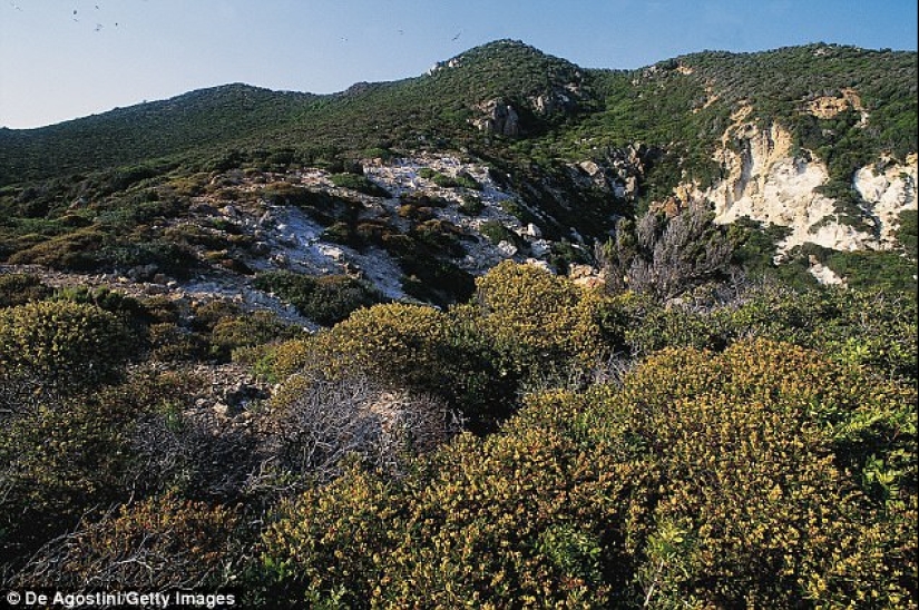 Zannon is a forgotten island of orgies with a dark past