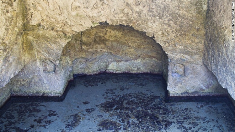 Zannon is a forgotten island of orgies with a dark past