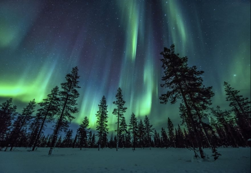 20 reasons why Lapland is the most magical place to celebrate the New Year