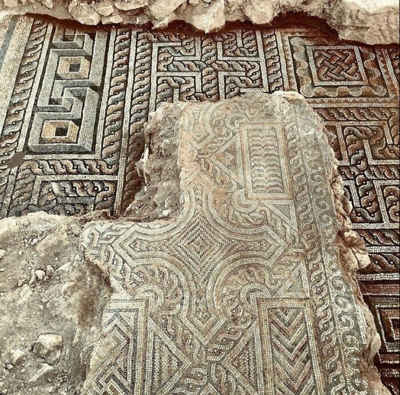 35 hallazgos inesperados que la gente ha compartido en línea