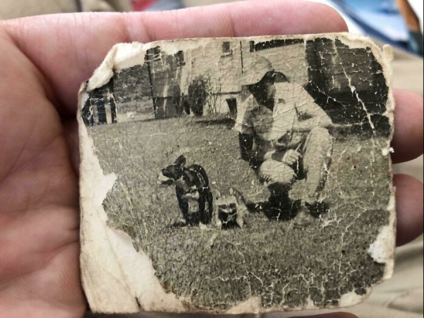 35 hallazgos inesperados que la gente ha compartido en línea