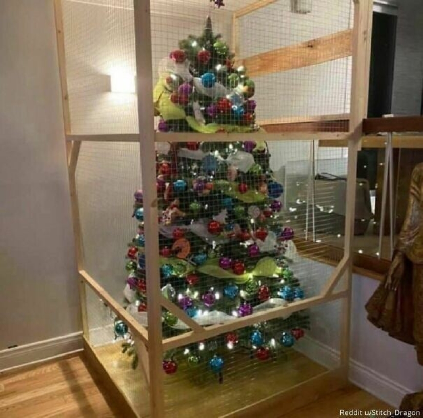 35 peores fotos de Navidad