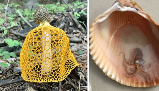 35 unexpected finds that people have shared online